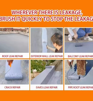 Dessini Leak Repair King Coating