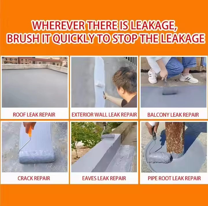 Dessini Leak Repair King Coating
