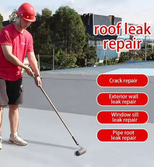 Dessini Leak Repair King Coating