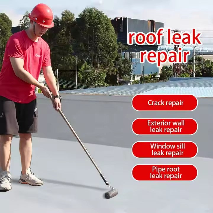 Dessini Leak Repair King Coating