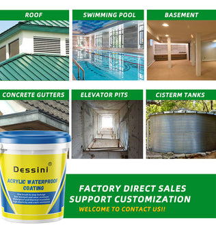 Dessini Acrylic waterproof coating