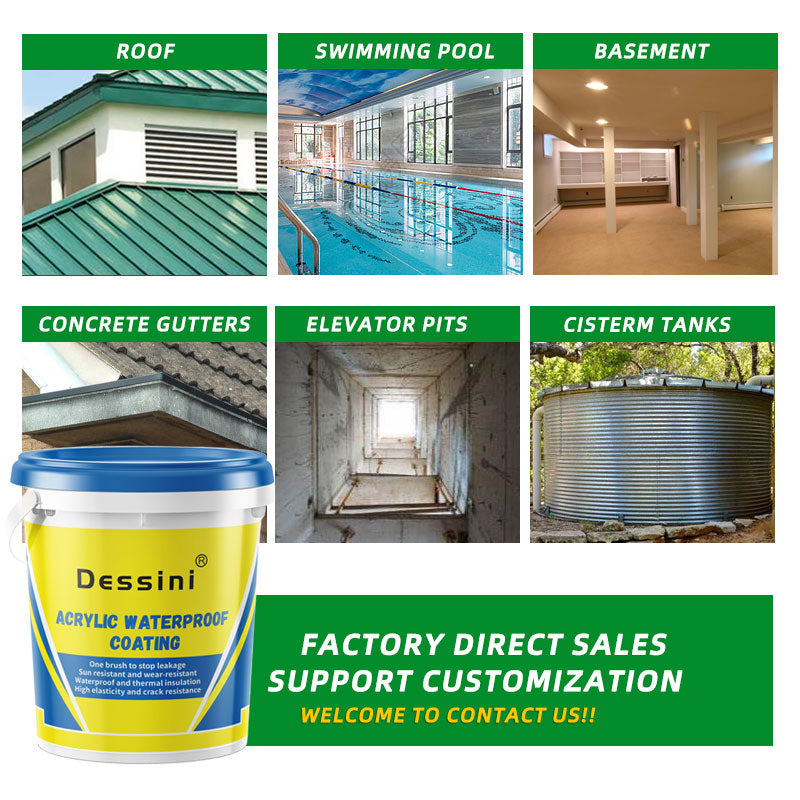 Dessini Acrylic waterproof coating
