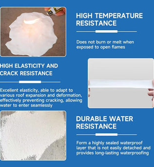 Dessini Acrylic waterproof coating