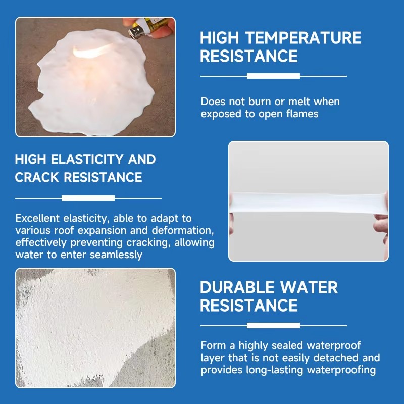 Dessini Acrylic waterproof coating