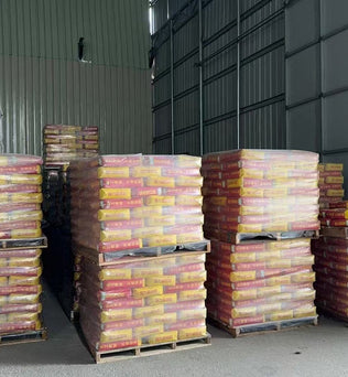 Dessini Ceramic tile adhesive
