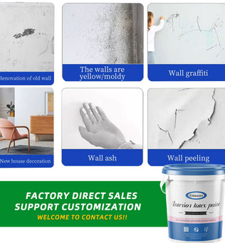 Dessini Interior latex paint