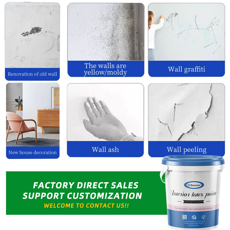 Dessini Interior latex paint