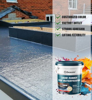 Dessini Liquid rubber waterproof coating