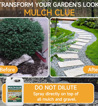 Dessini Mulch Rock Glue