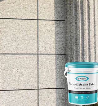 Dessini Natural Stone Paint