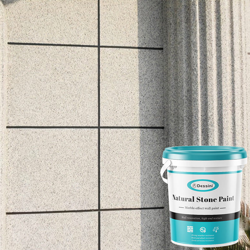 Dessini Natural Stone Paint