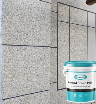 Dessini Natural Stone Paint