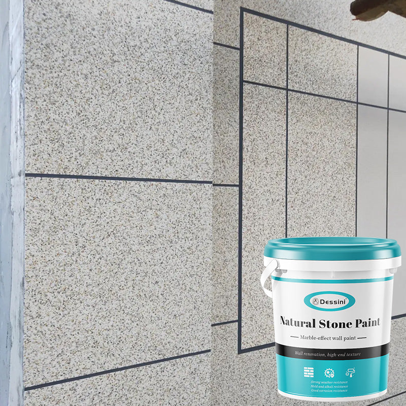 Dessini Natural Stone Paint