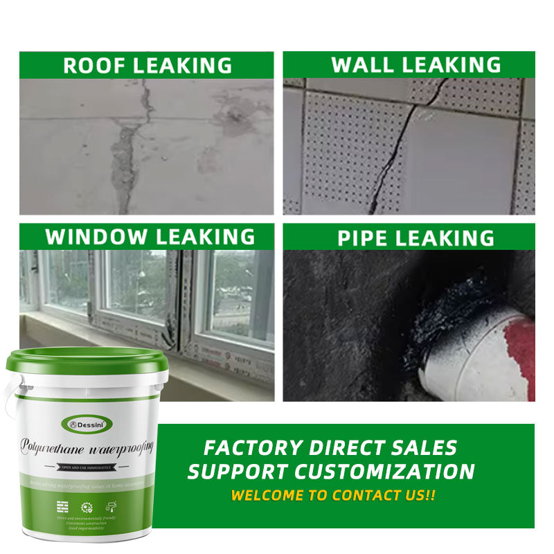 Dessini Polyurethane waterproof coating