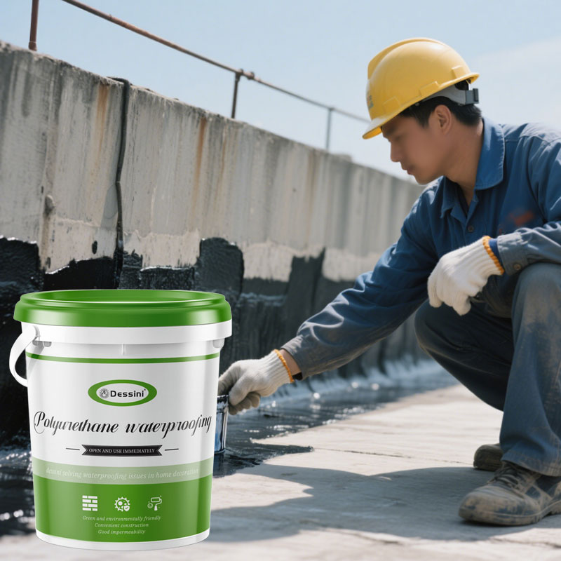 Dessini Polyurethane waterproof coating