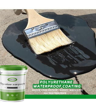 Dessini Polyurethane waterproof coating
