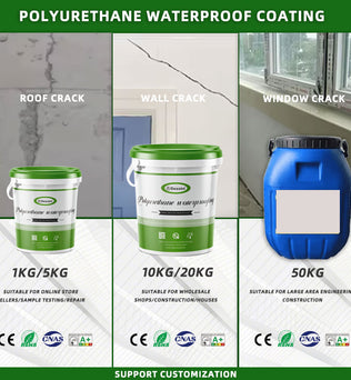 Dessini Polyurethane waterproof coating