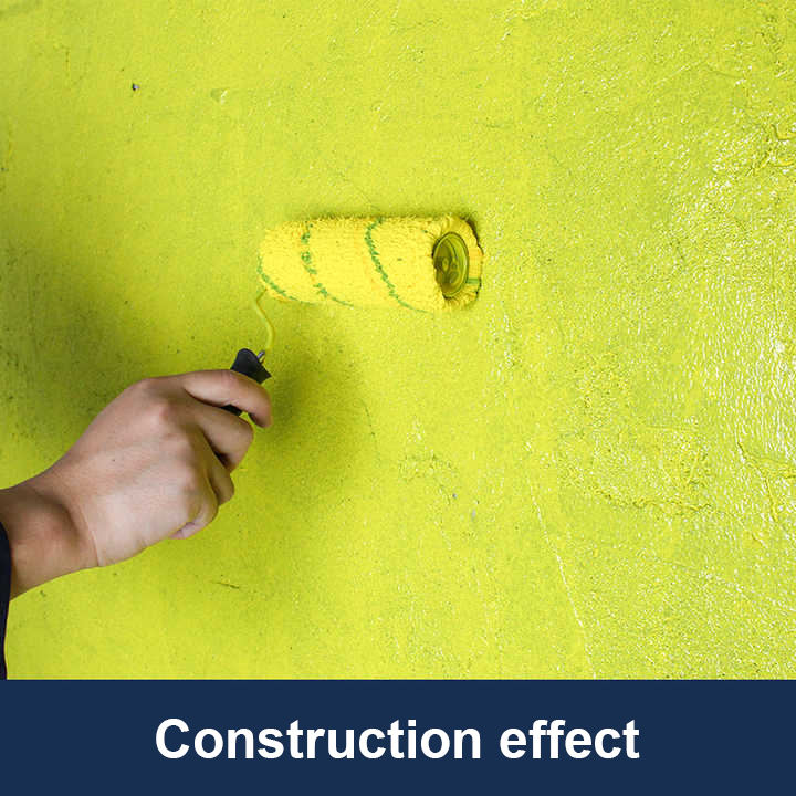Dessini Wall Fixing Paint