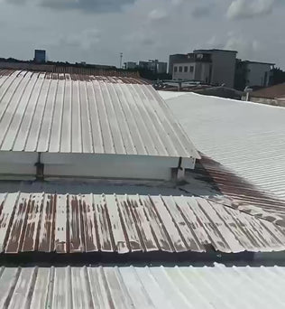 Dessini Acrylic waterproof coating